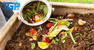 Cách ủ rác thải nhà bếp trồng rau AN TOÀN,  HIỆU QUẢ tại ...