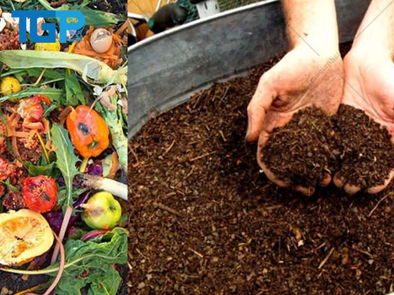 cách ủ rác thải nhà bếp trồng rau