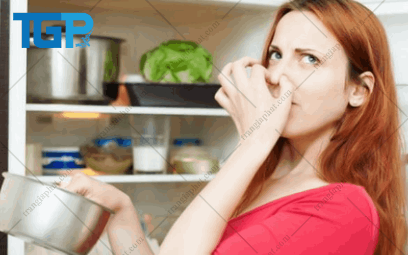 Tủ lạnh cấp đông mềm sẽ giúp hạn chế mùi hôi 